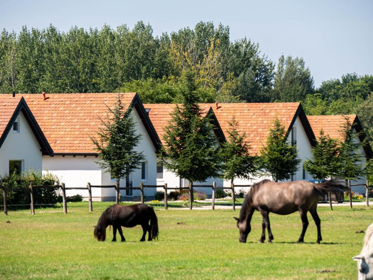 Ugo Apartman Halászi Kültér fotó